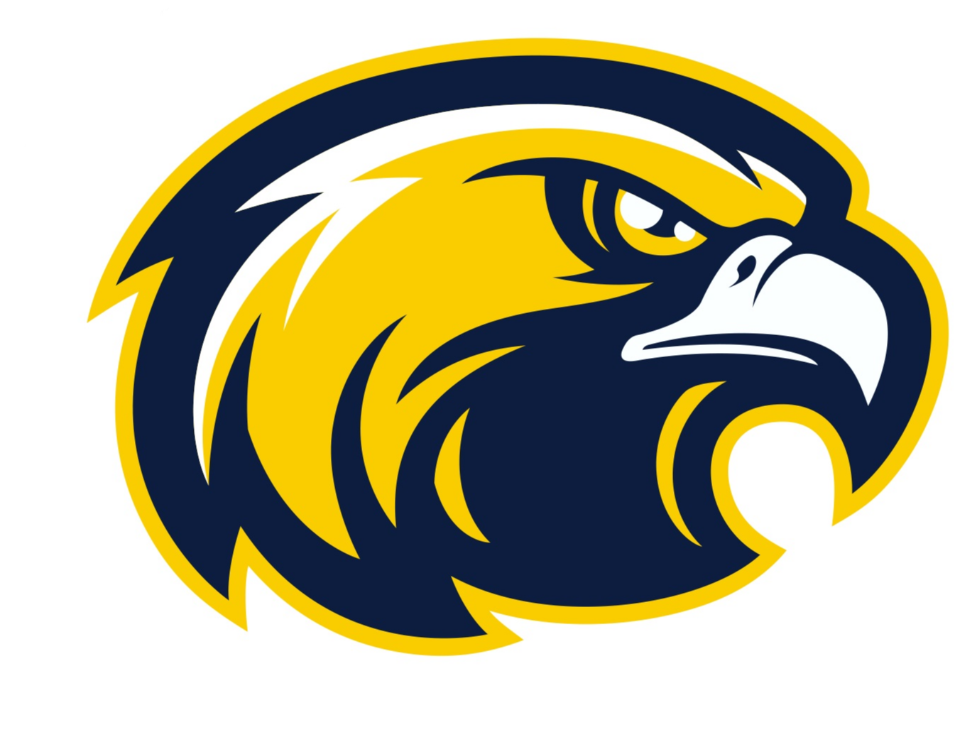 United Local School District