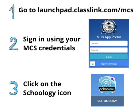 MCS app portal login process
