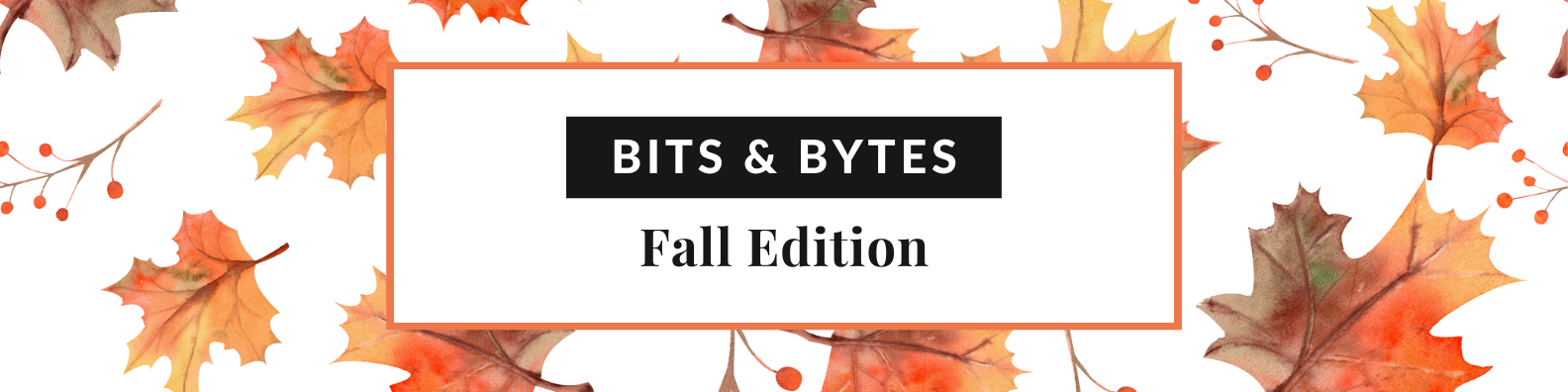 Bits and Bytes eNewsletter Fall Edition