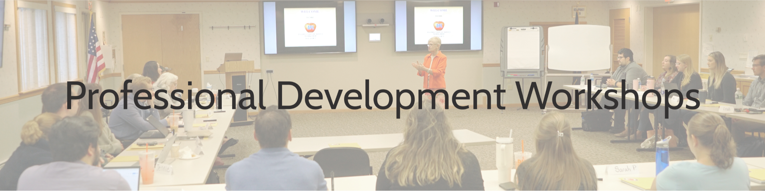 Professional Development/Workshops header