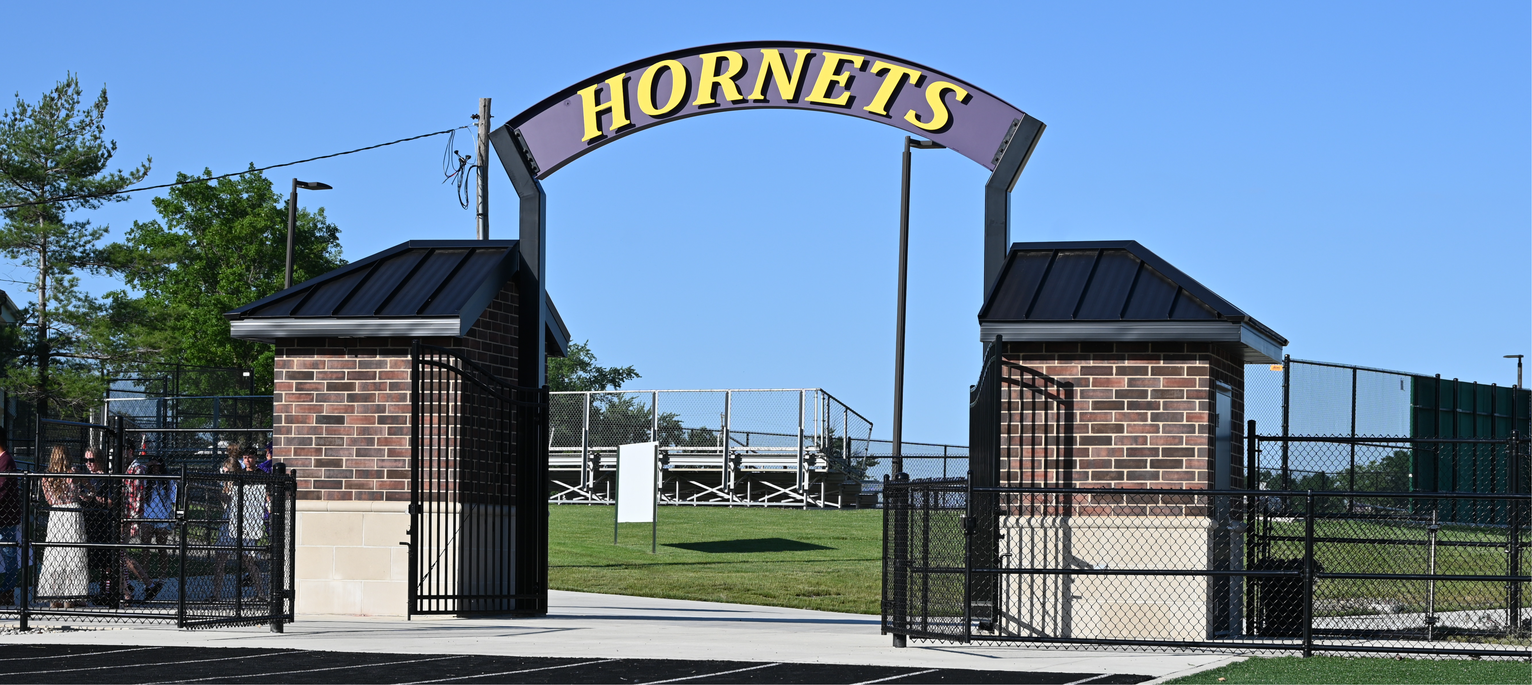 hornets