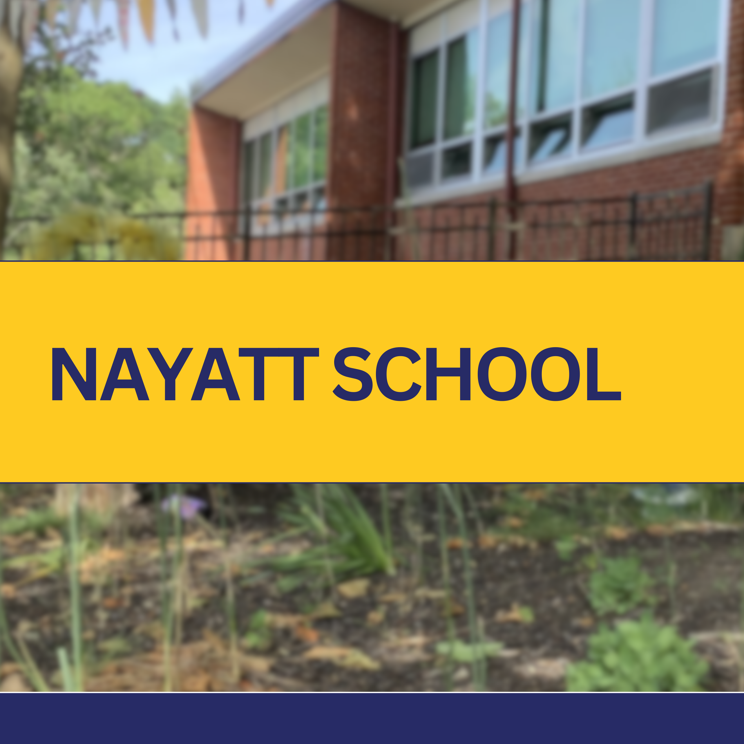 nayatt school