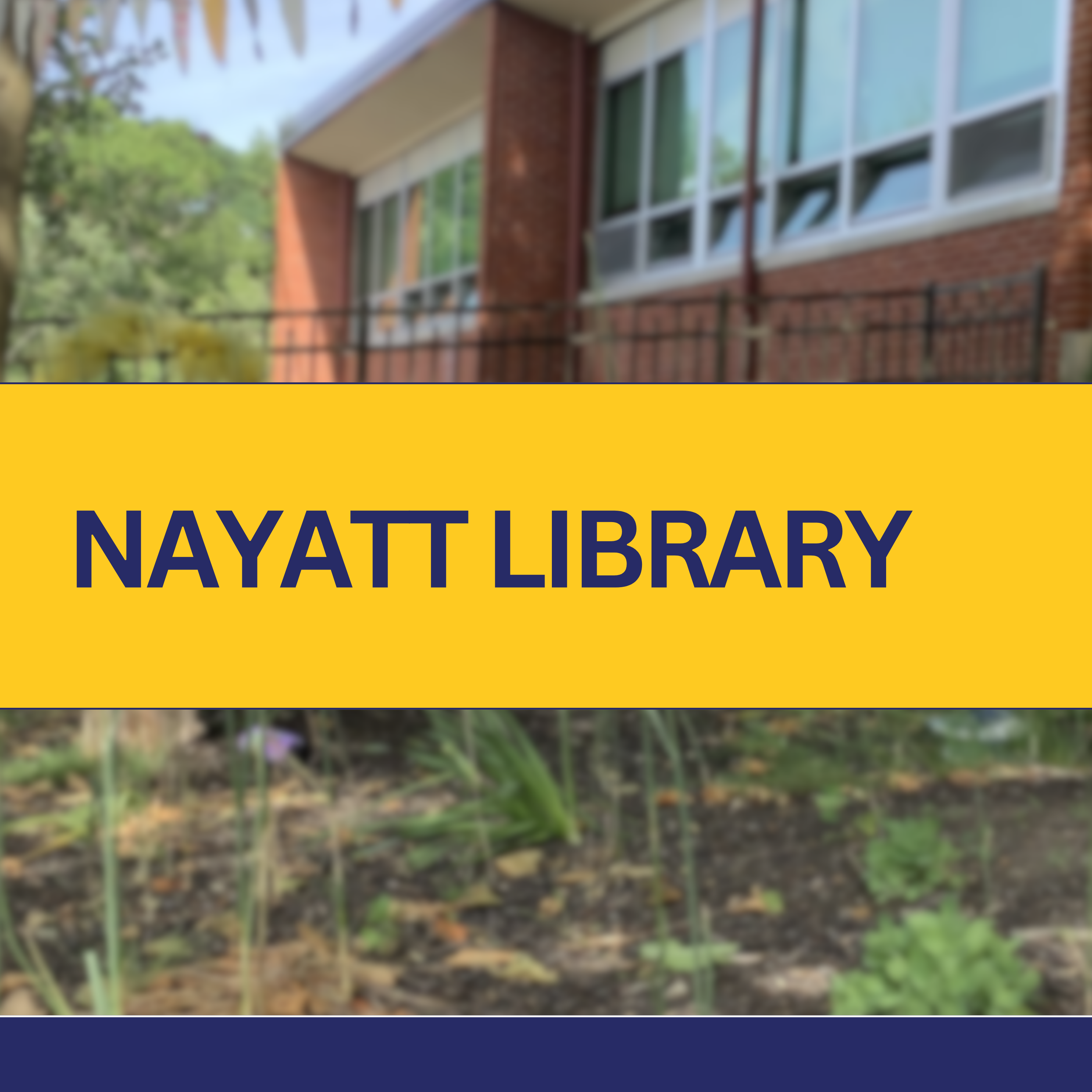 nayatt library