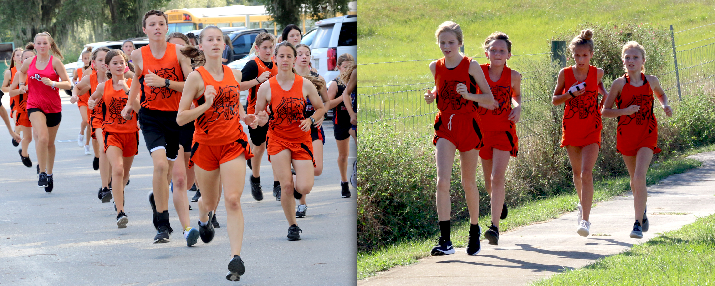 sports cross country 