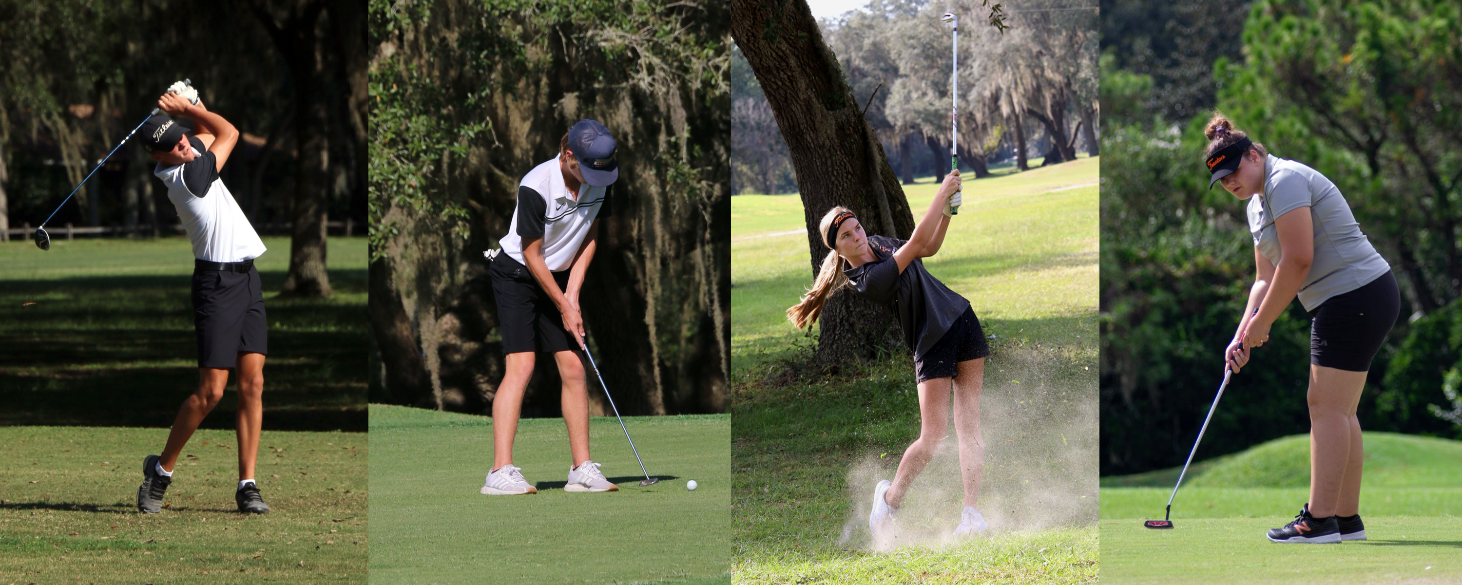 sports golf