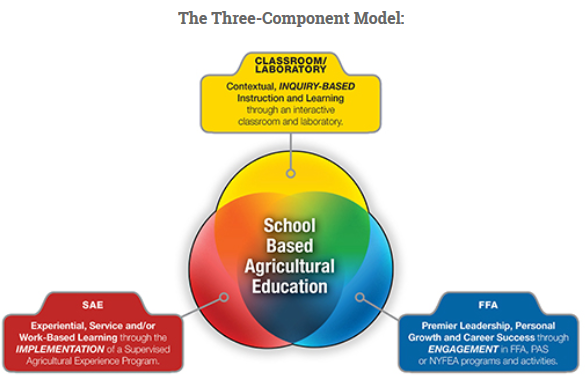 three component model