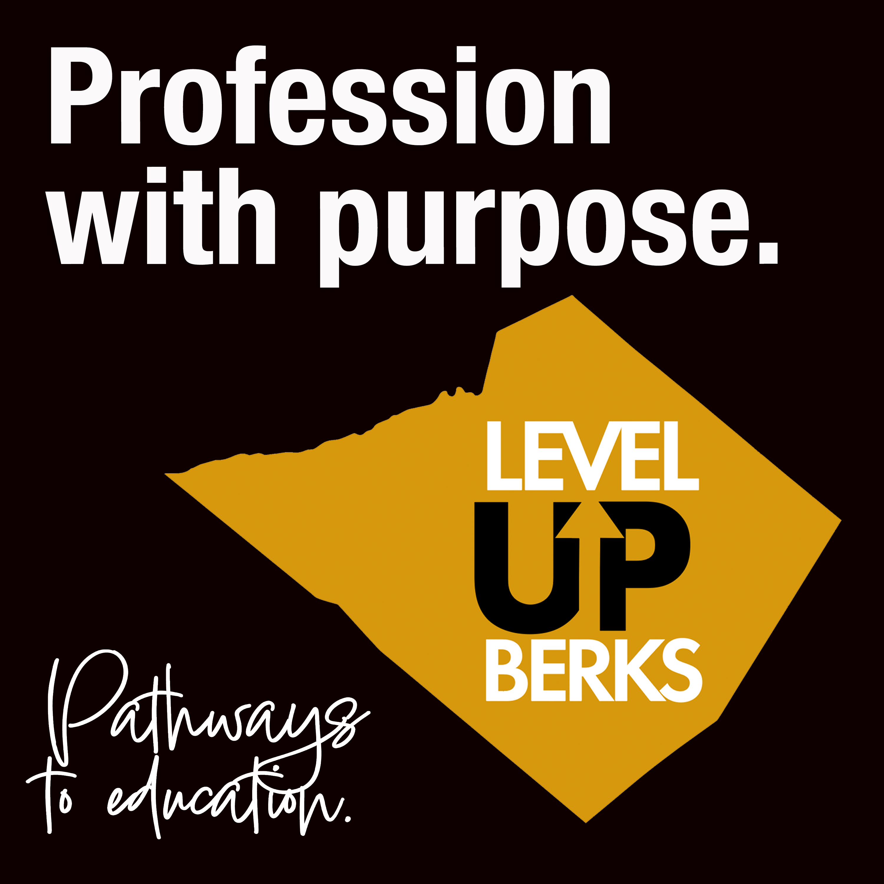 https://www.berksiu.org/page/level-up-berks