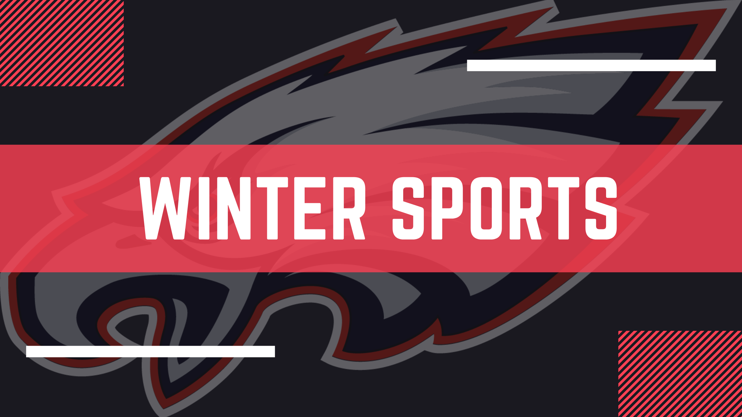 WINTER SPORTS