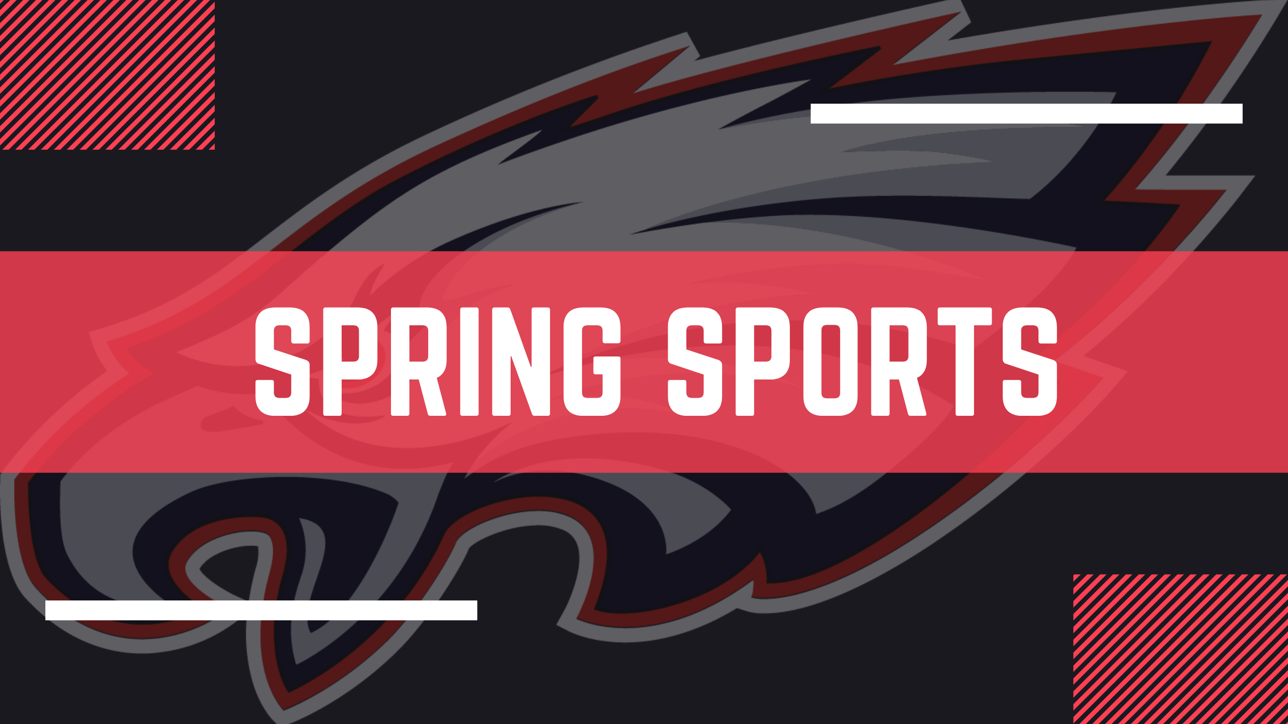 SPRING SPORTS