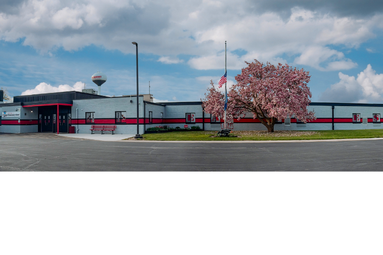 Elementary School