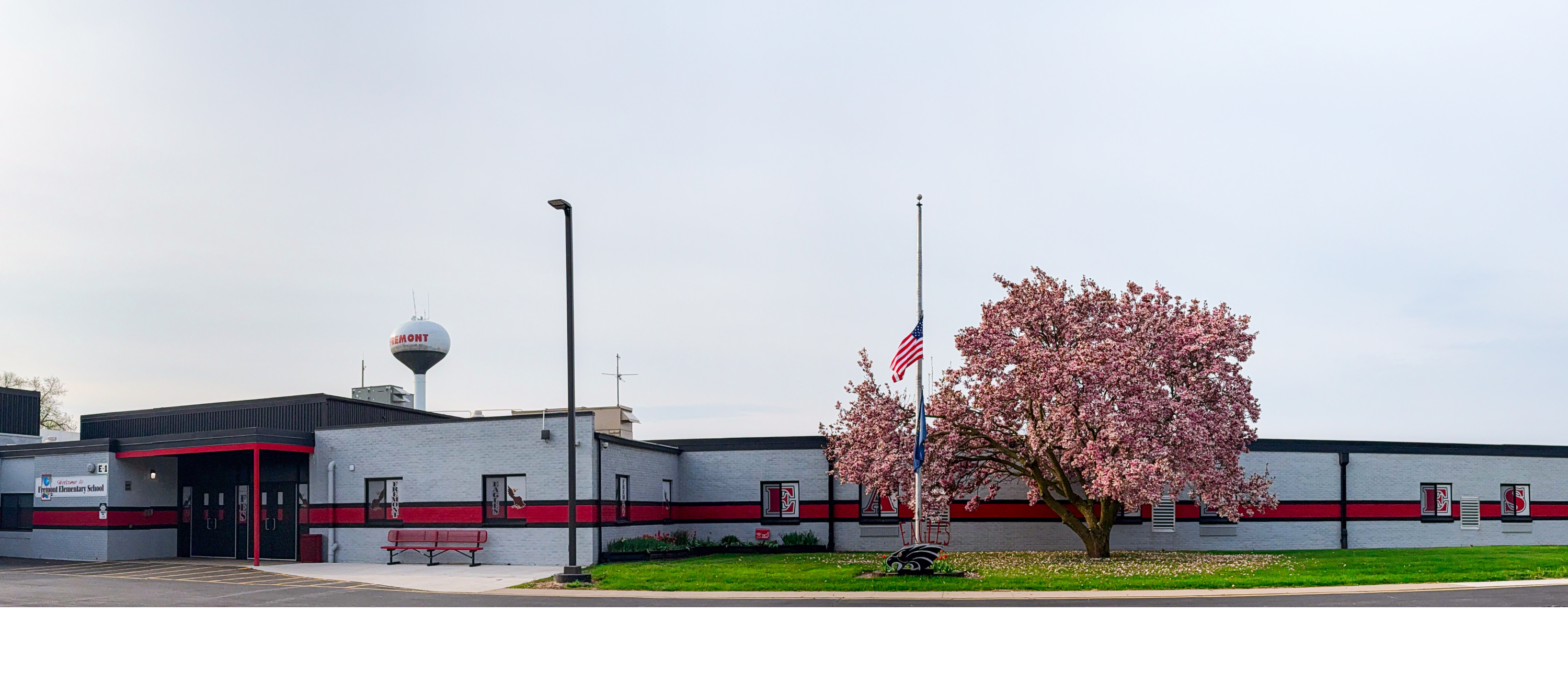 Elementary School
