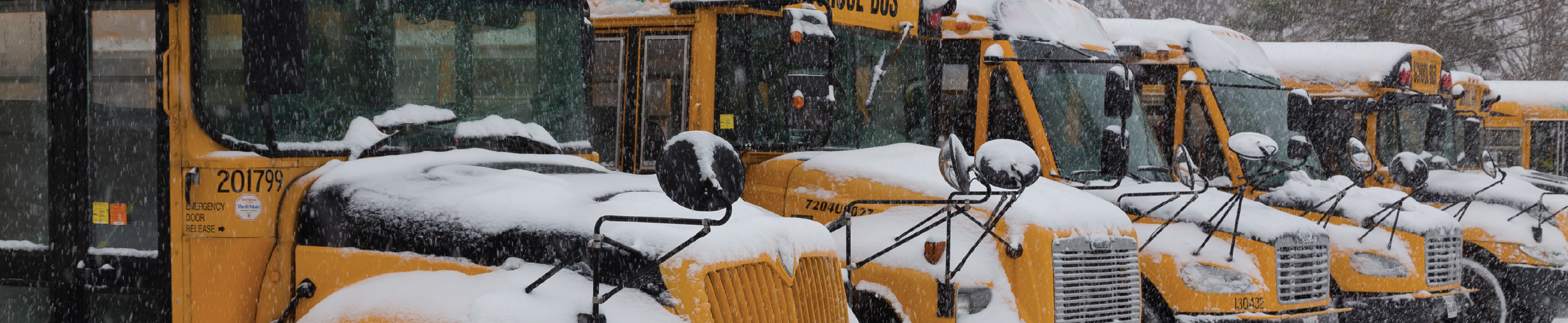 An image of 7 yellow school buses parking in the snow.