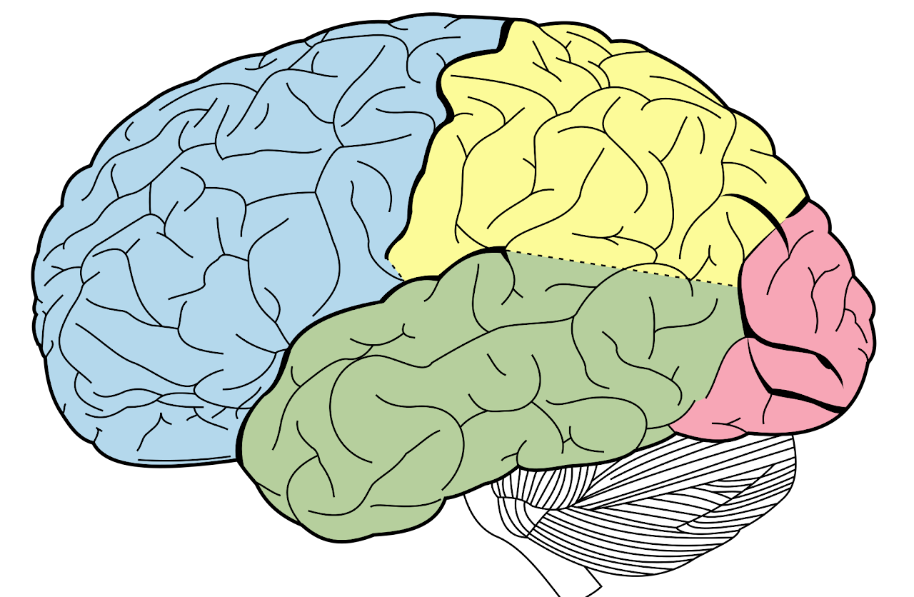 Students: Mental Health for Kids & Pre-Teens