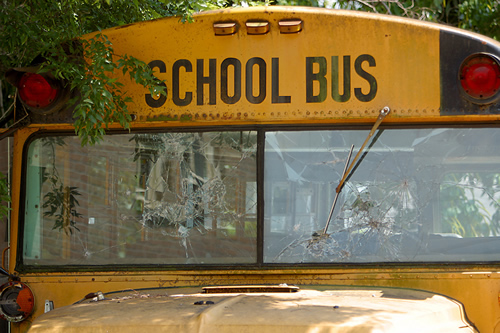 bus