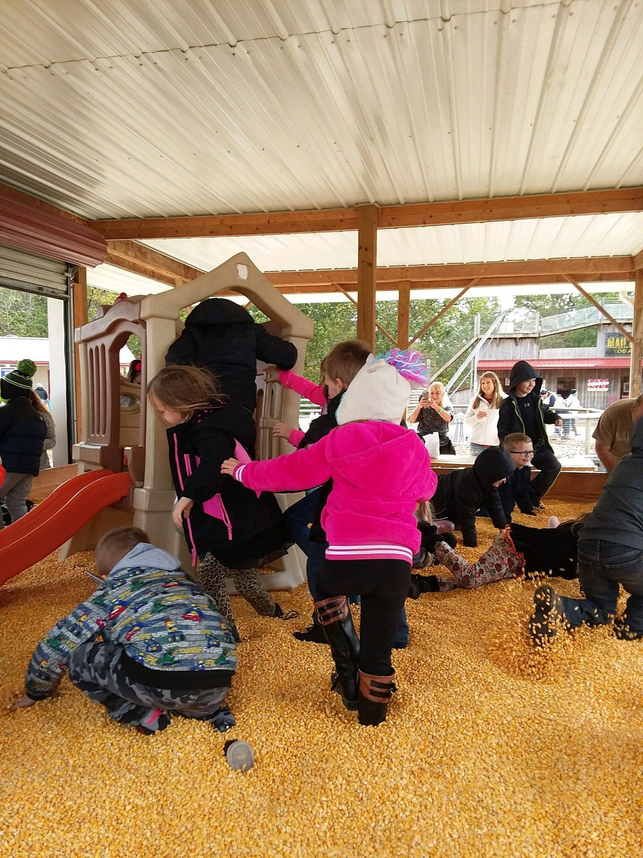 Students playing in corn