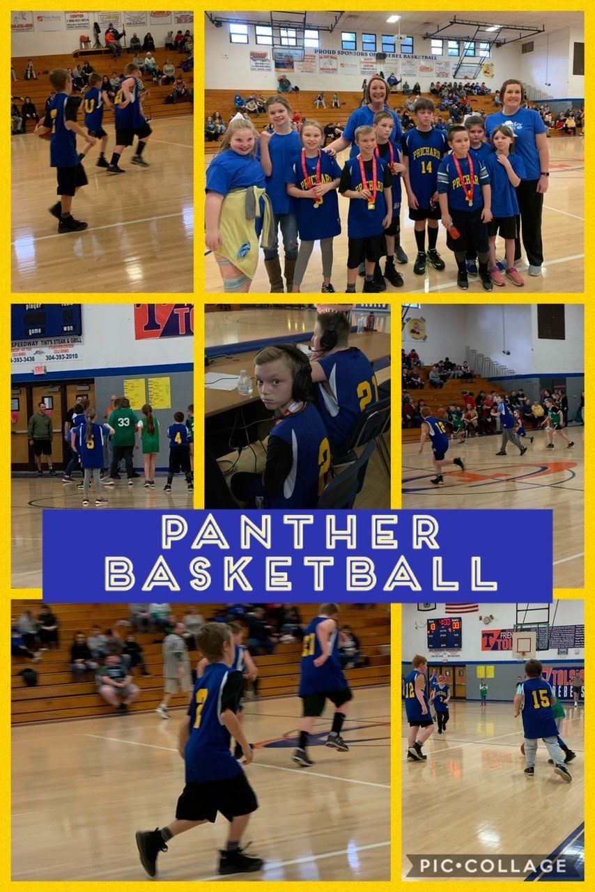 Panther Basketball