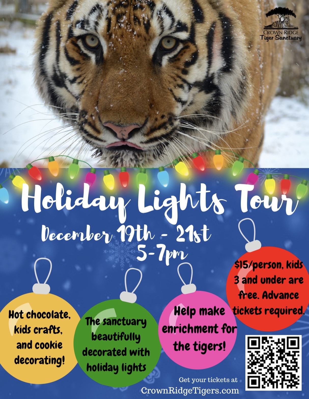 Tiger sanctuary Christmas Lights flyer