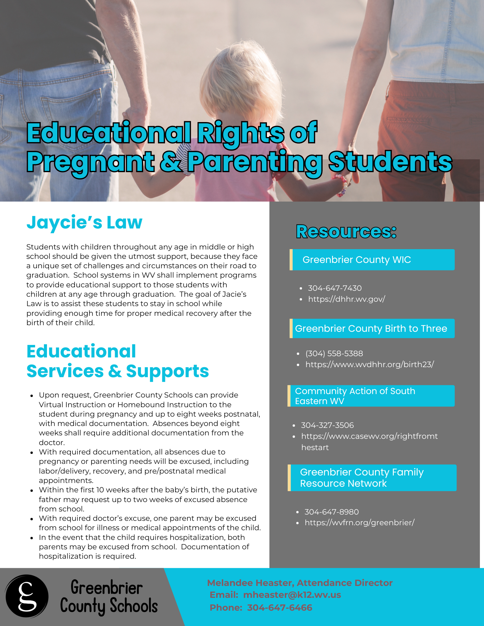 Jaycie's Law Flyer