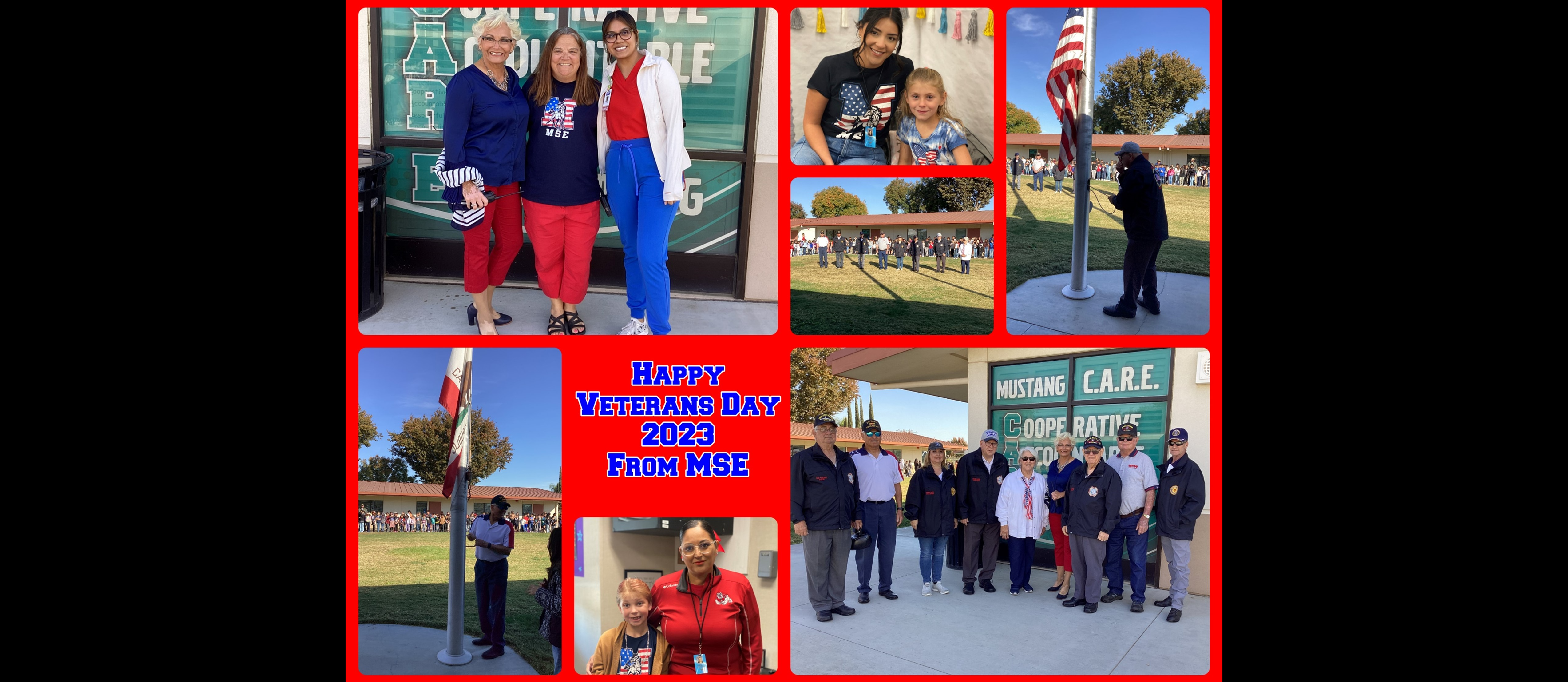 MSE Veterans day