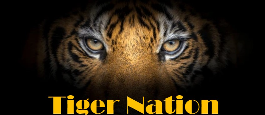 Tiger Eyes