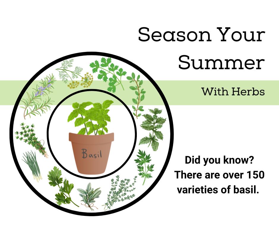Season Your Summer
