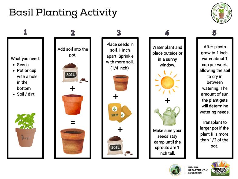 Basil Planting Activity