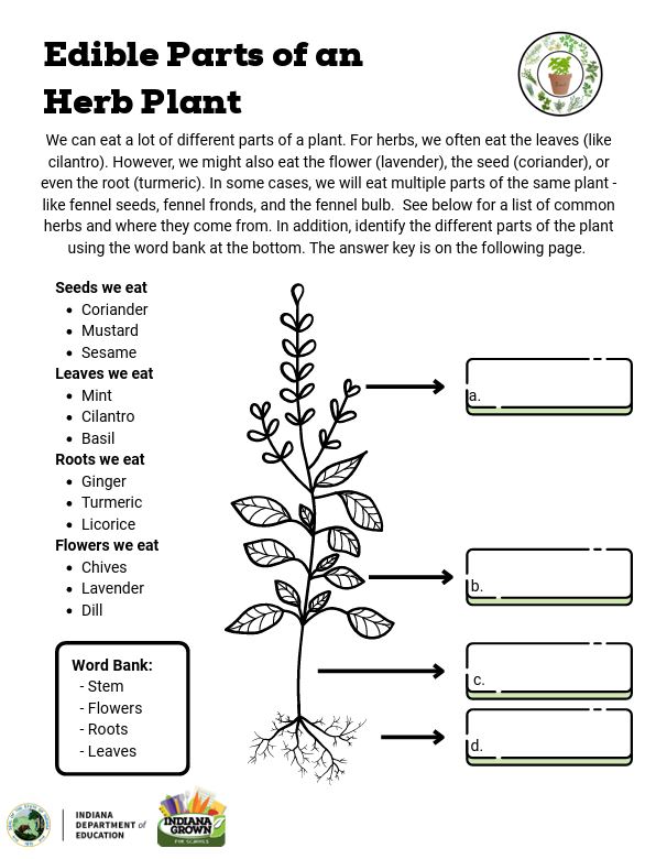 Edible Plant Parts Week 2