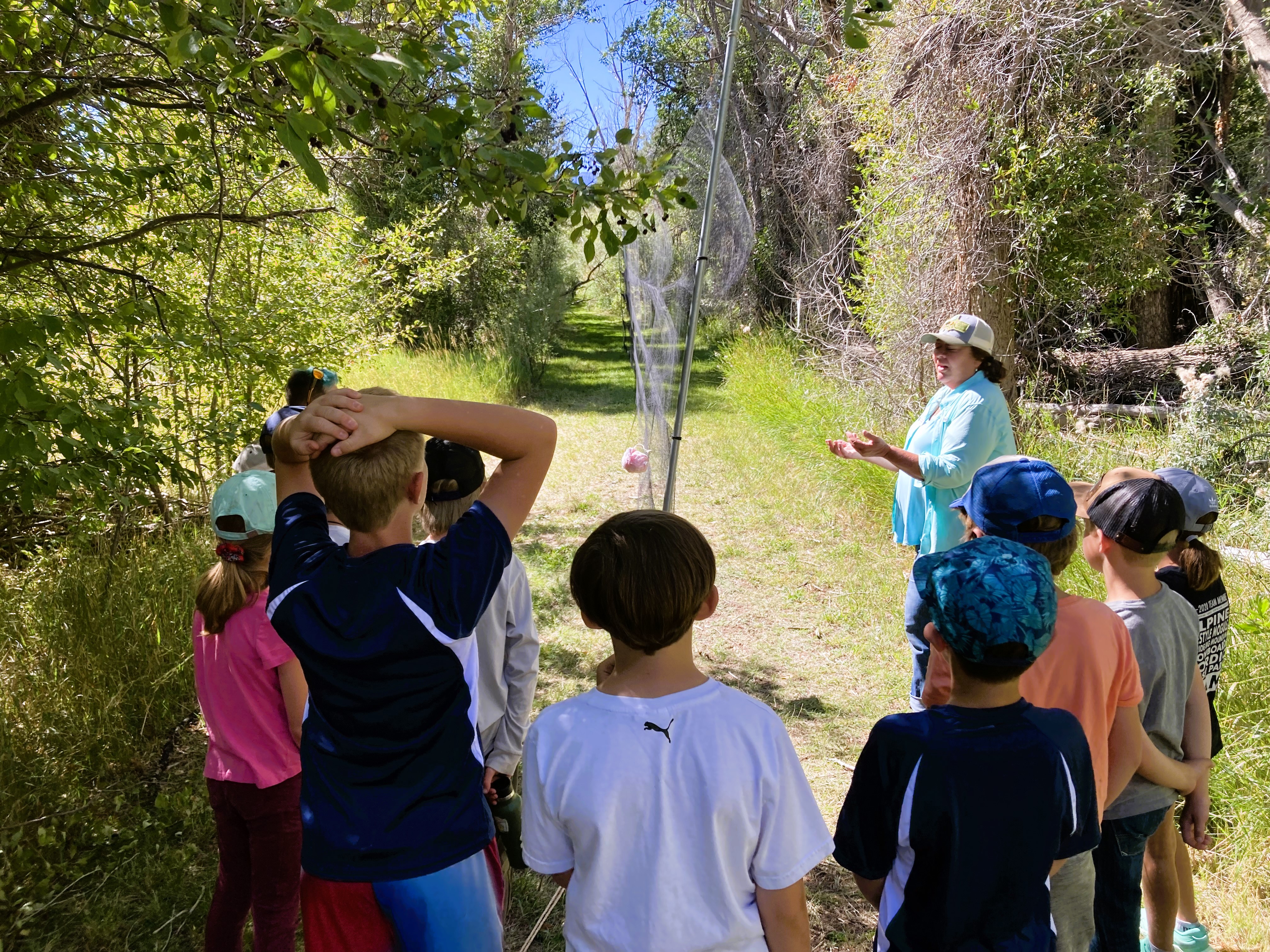 4th graders learning about bird banding