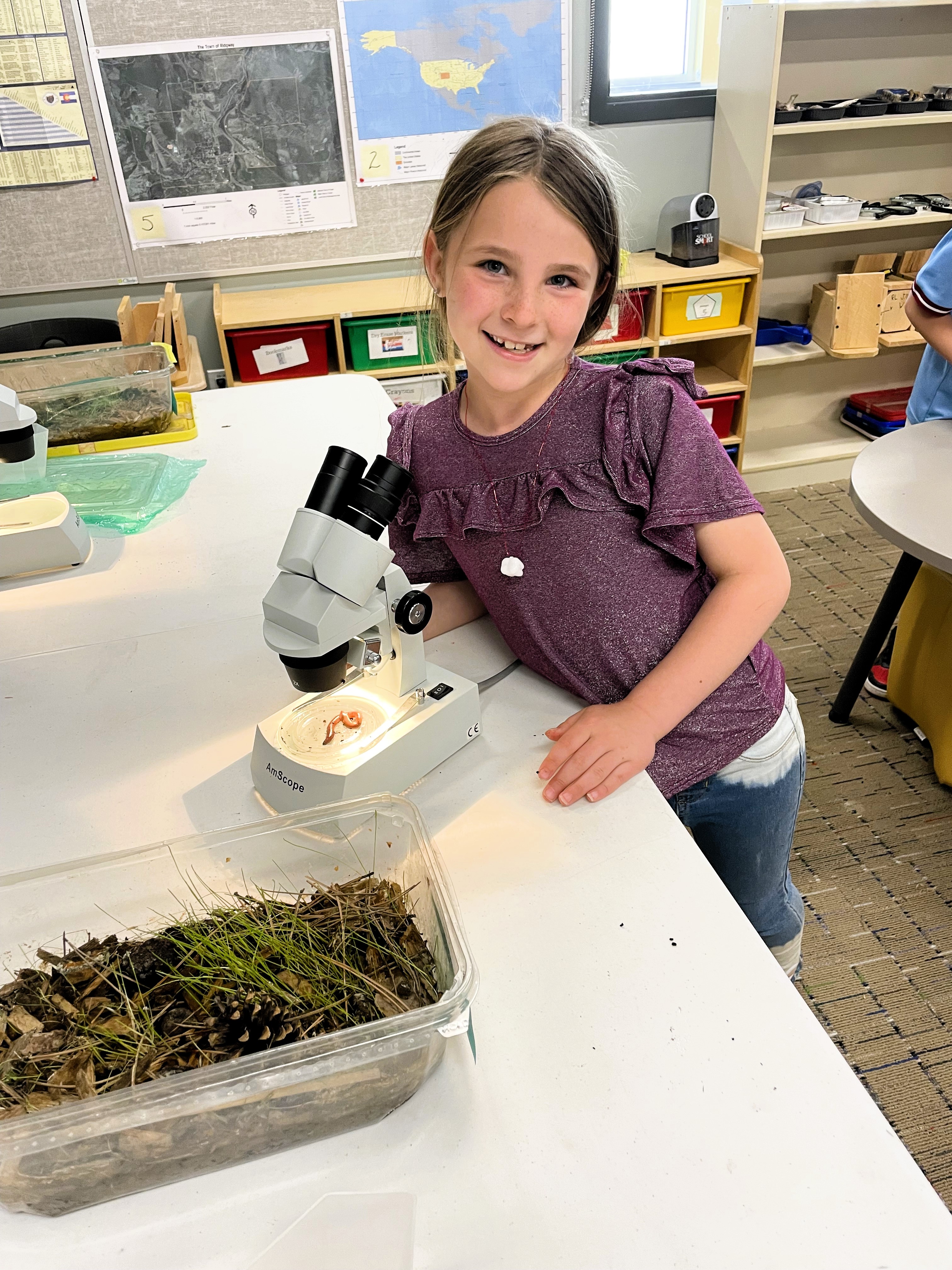 2nd grader observing worm through microscope