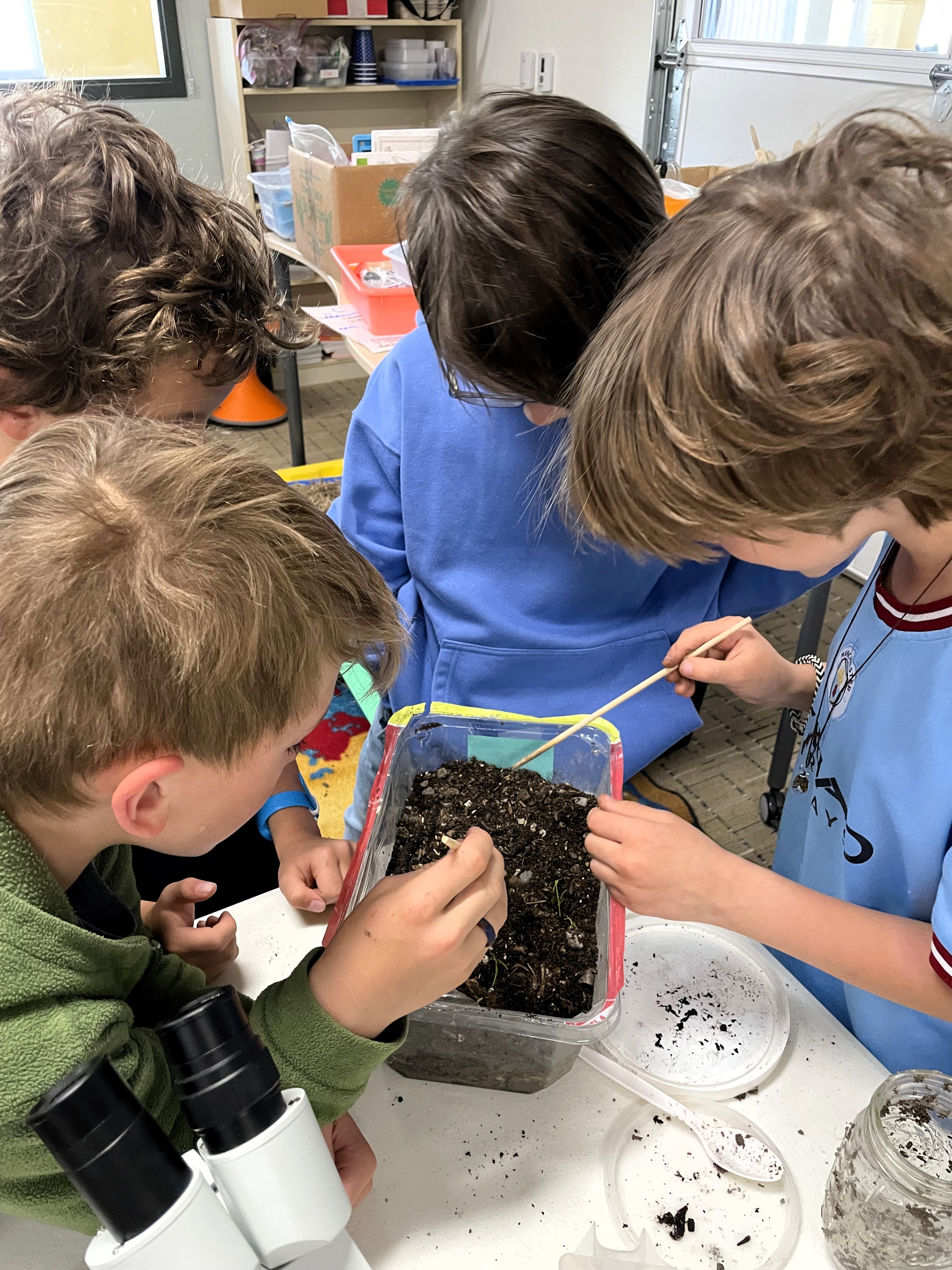 2nd graders constructing a terrestrial habitat 