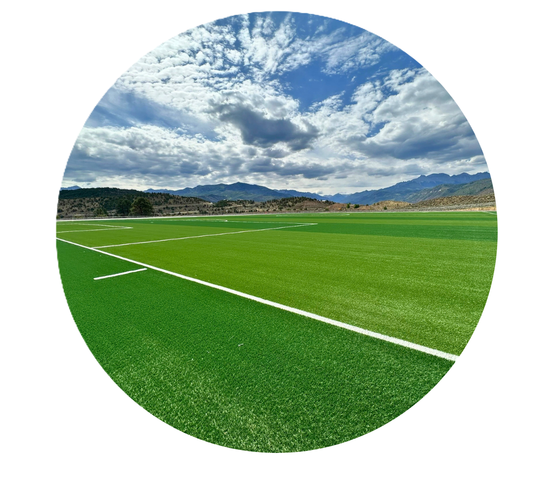 Circular view of a green sports field with white lines and mountains under a cloudy sky.