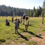 kids playing in a field