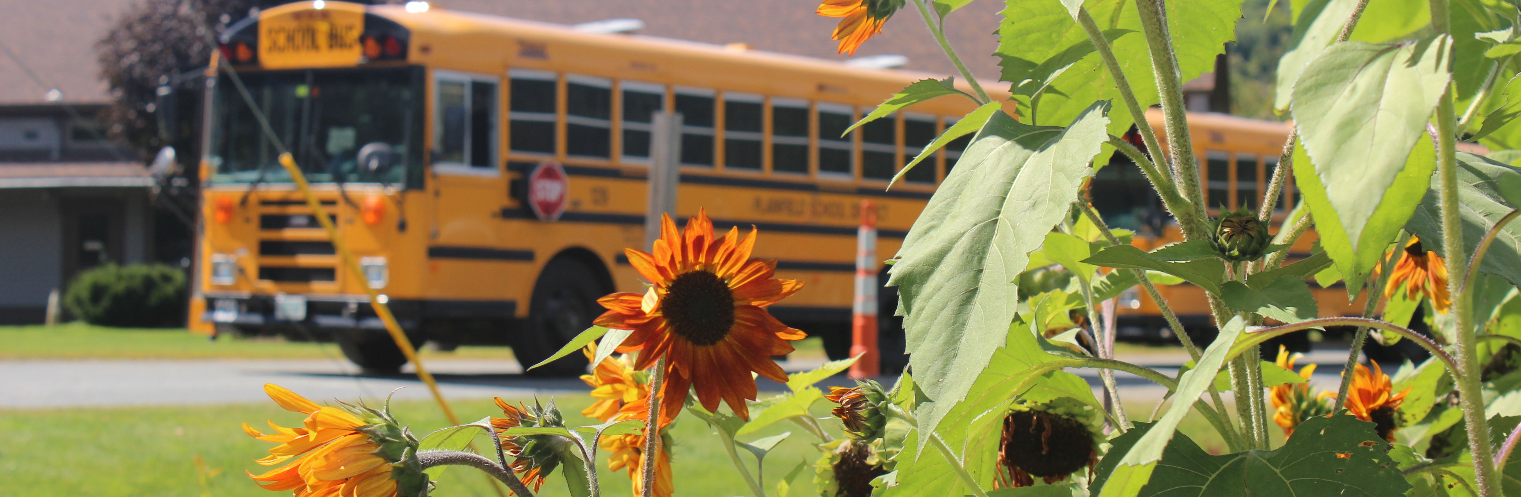 Plainfield Elementary School Bus