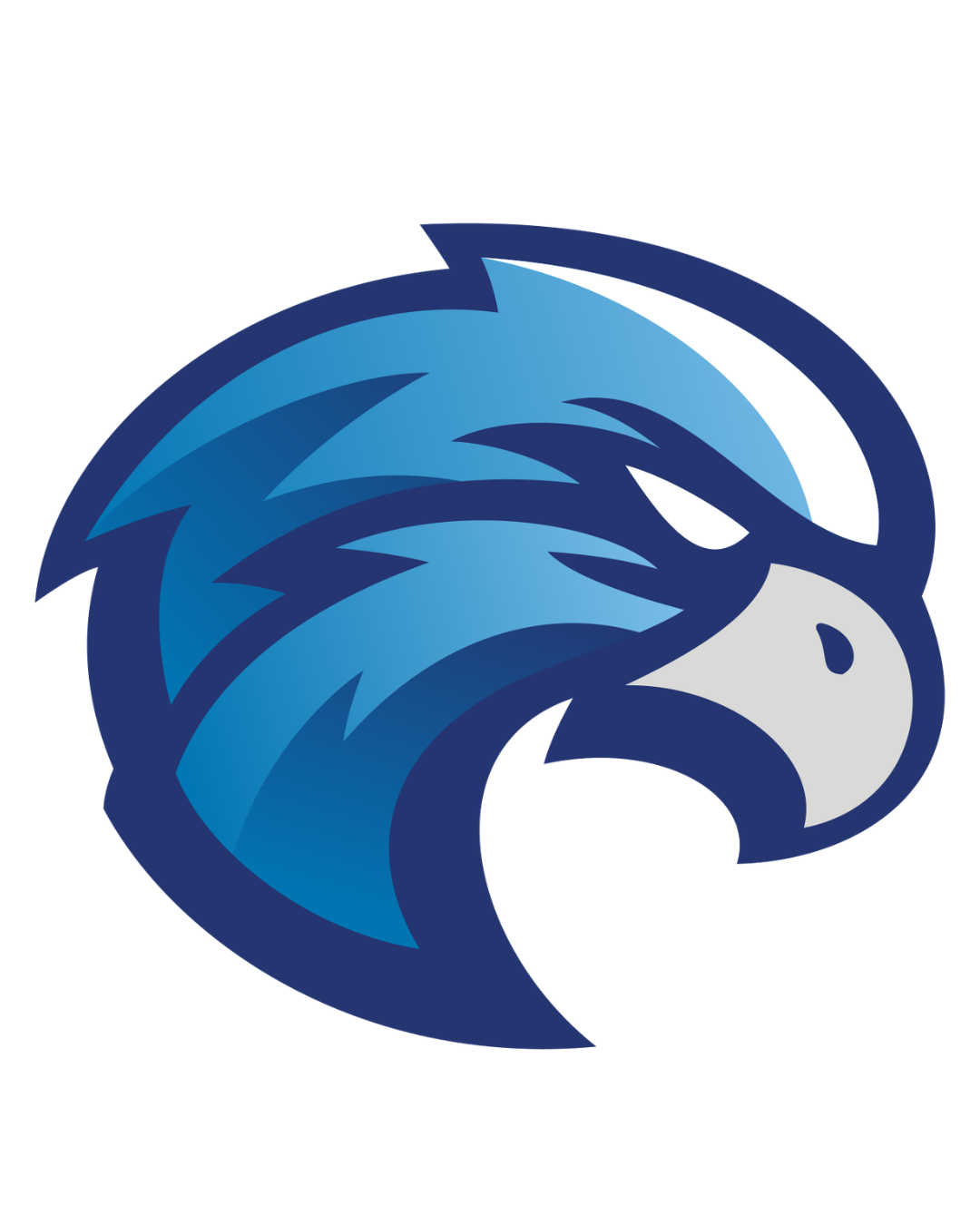 falcon