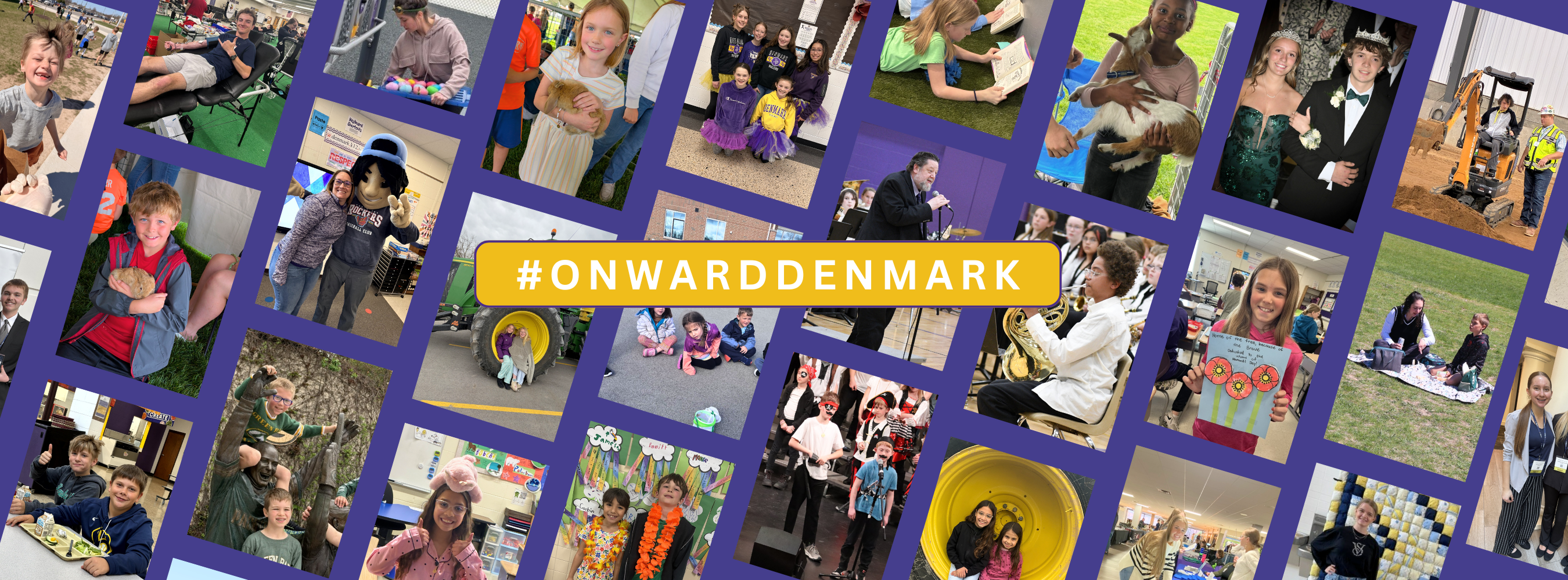 photo collage of Denmark Students