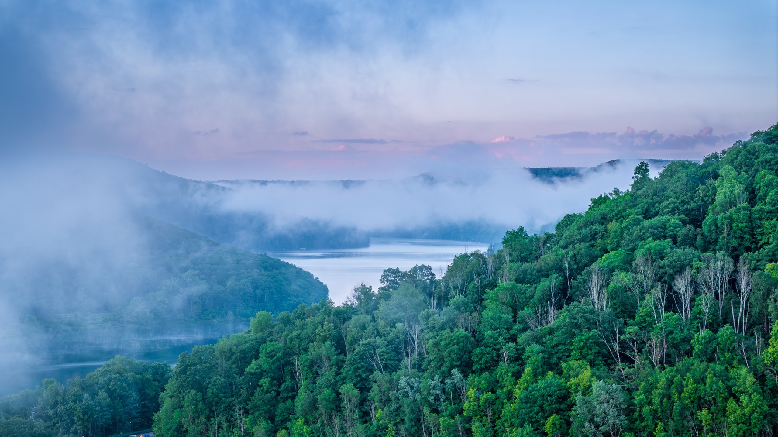 Picture of the Landscape