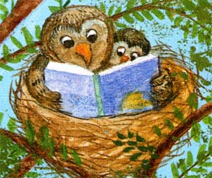 Library Owls
