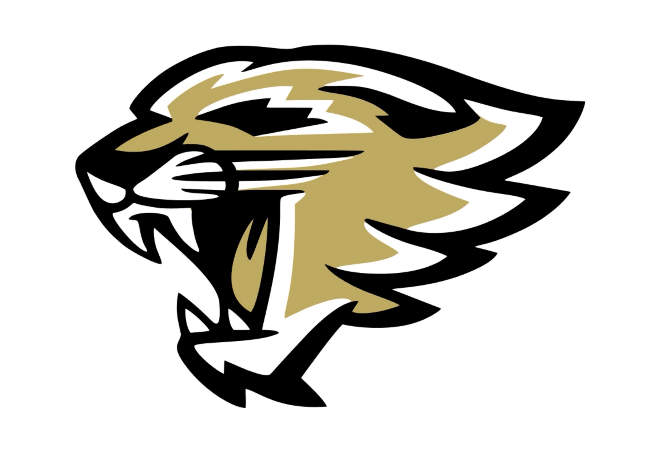 Wildcat Athletics Logo
