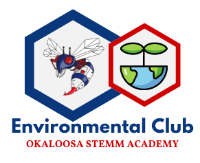 Environmental Club