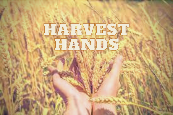 Harvest Hands page logo