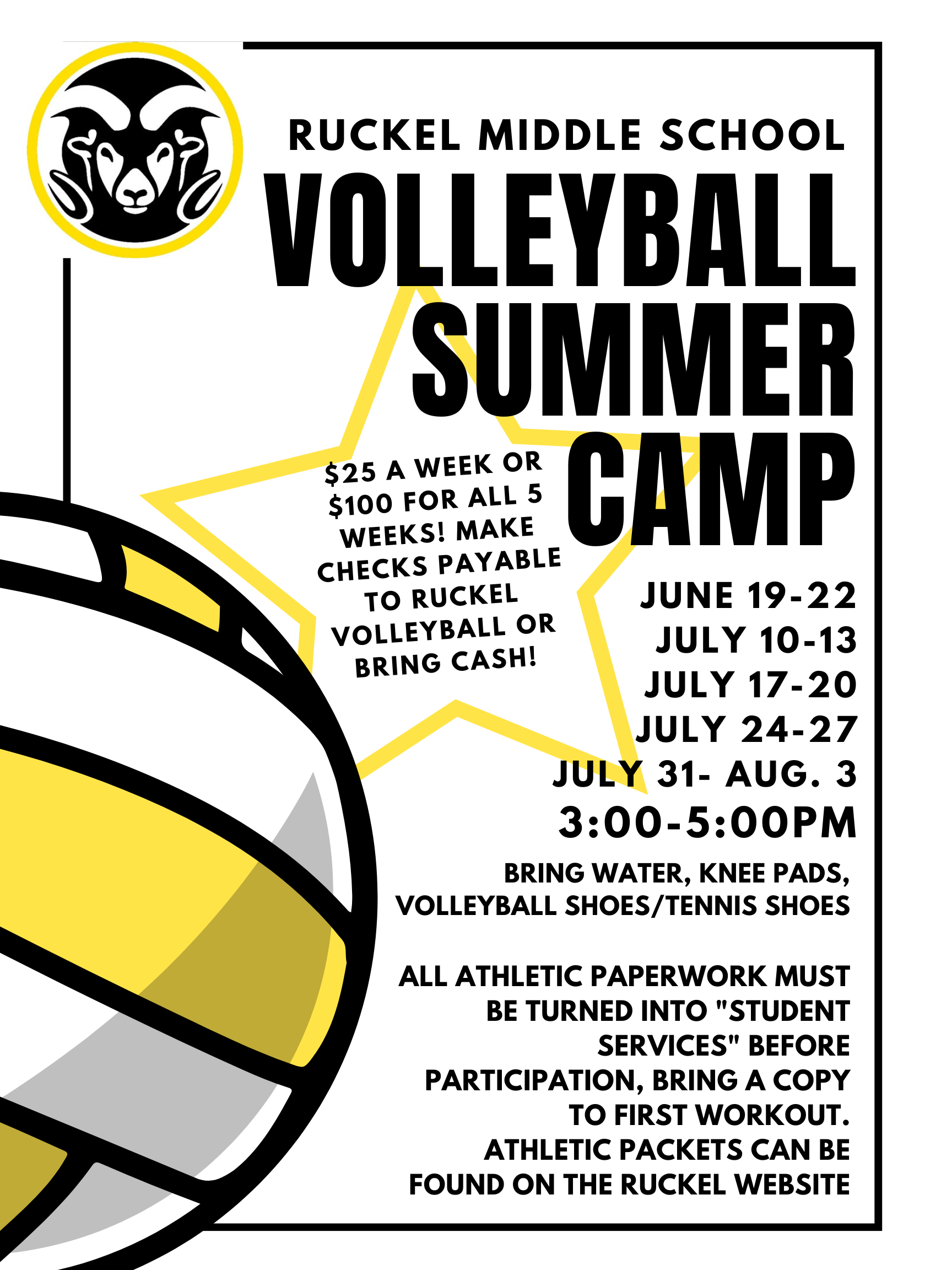 Summer Volleyball Flyer