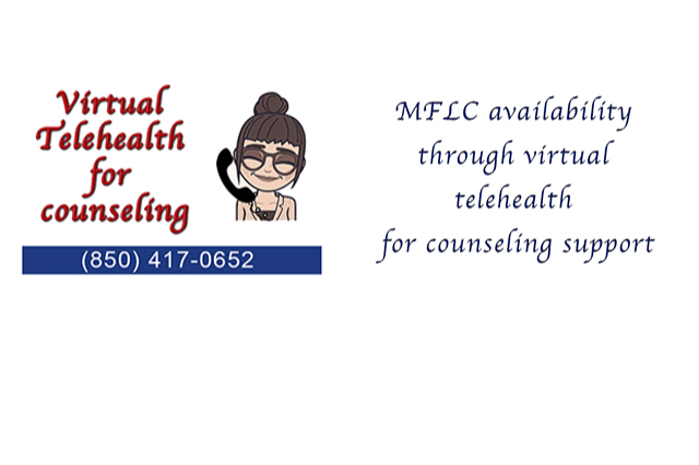 Virtual Telehealth for Military Counseling
