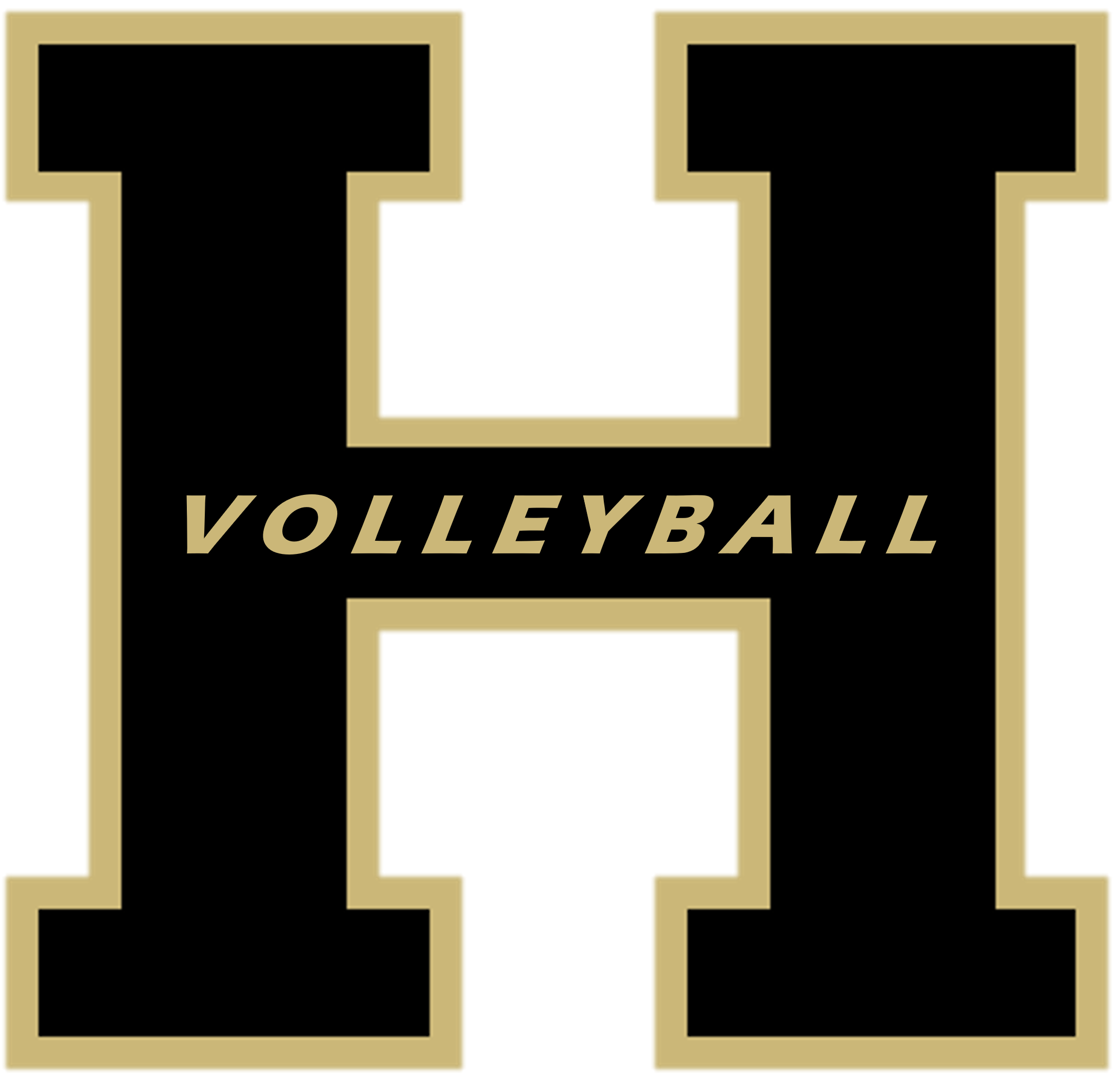 Volleyball H Logo