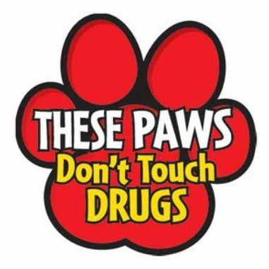 RED RIBBON PAW.png