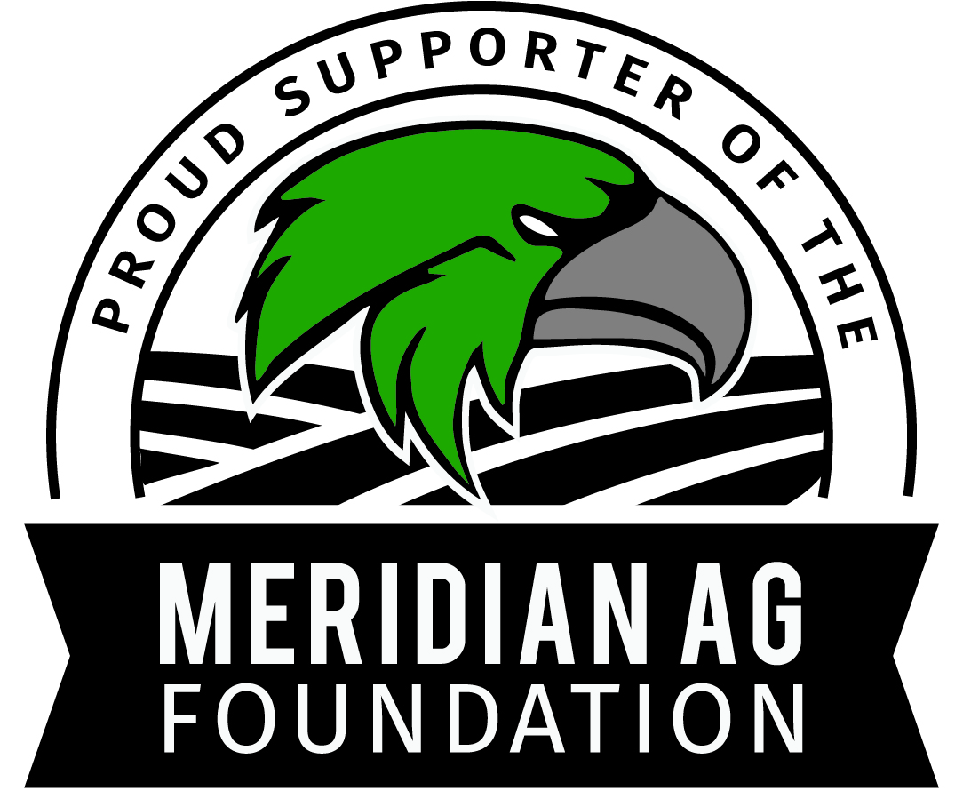 Meridian Foundation Logo