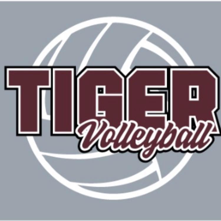 tiger volleyball