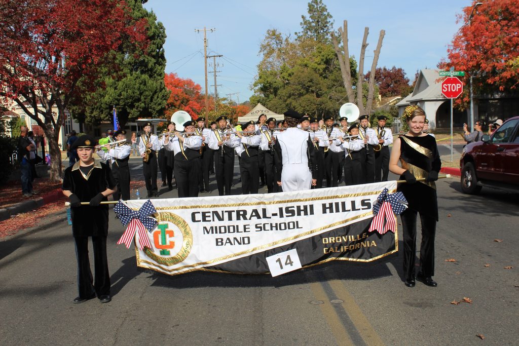 Band in parade