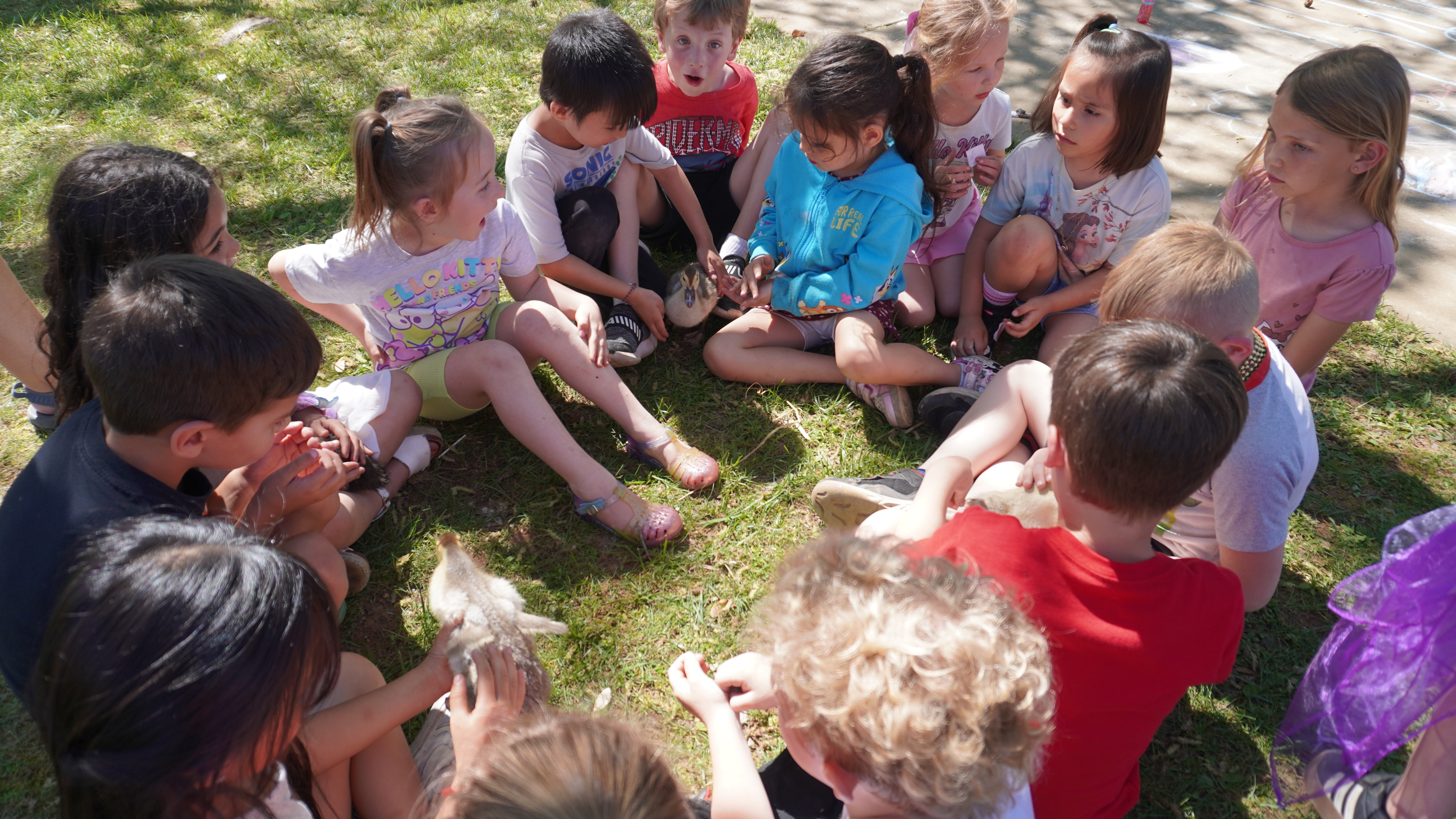 A group of children in casual clothing sit in a circle on grass, looking at a small animal.