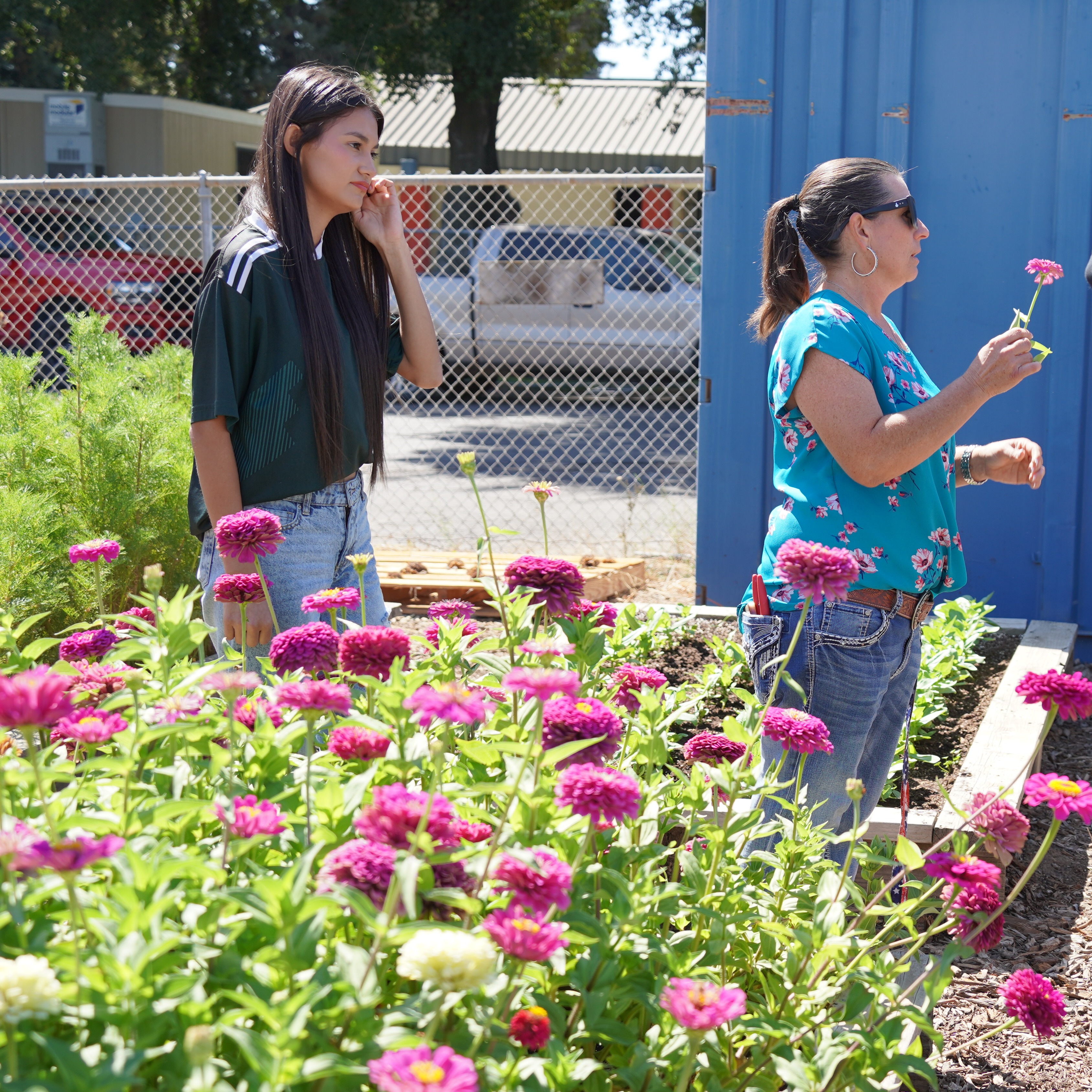 cut-flower-garden
