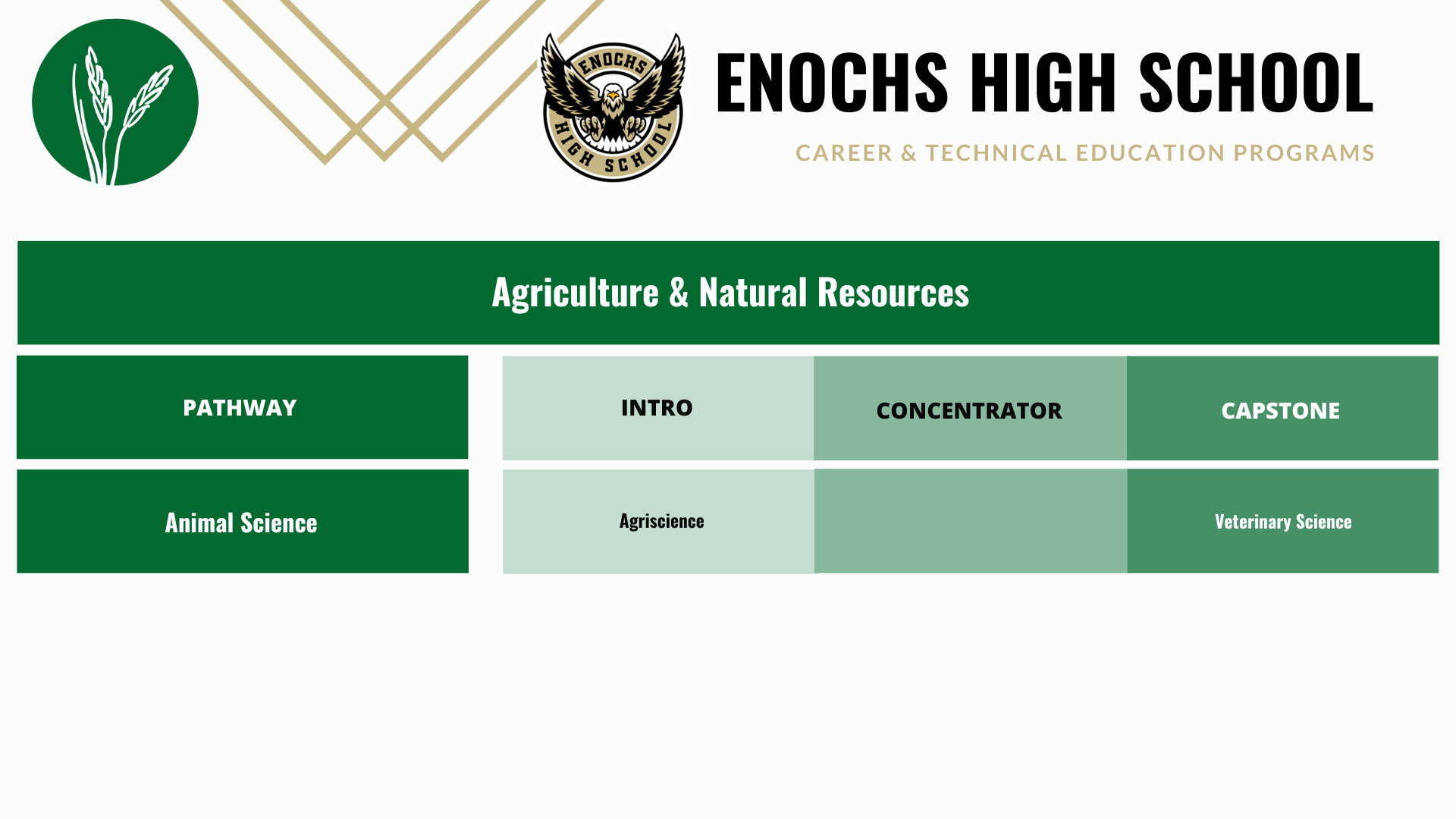 Enochs-Animal-science-pathway